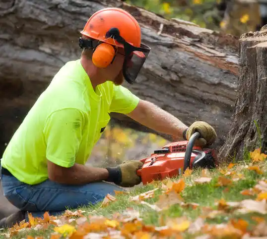 tree services Deer Park